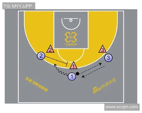 深圳篮球队战术表现深度分析与数据解读探讨